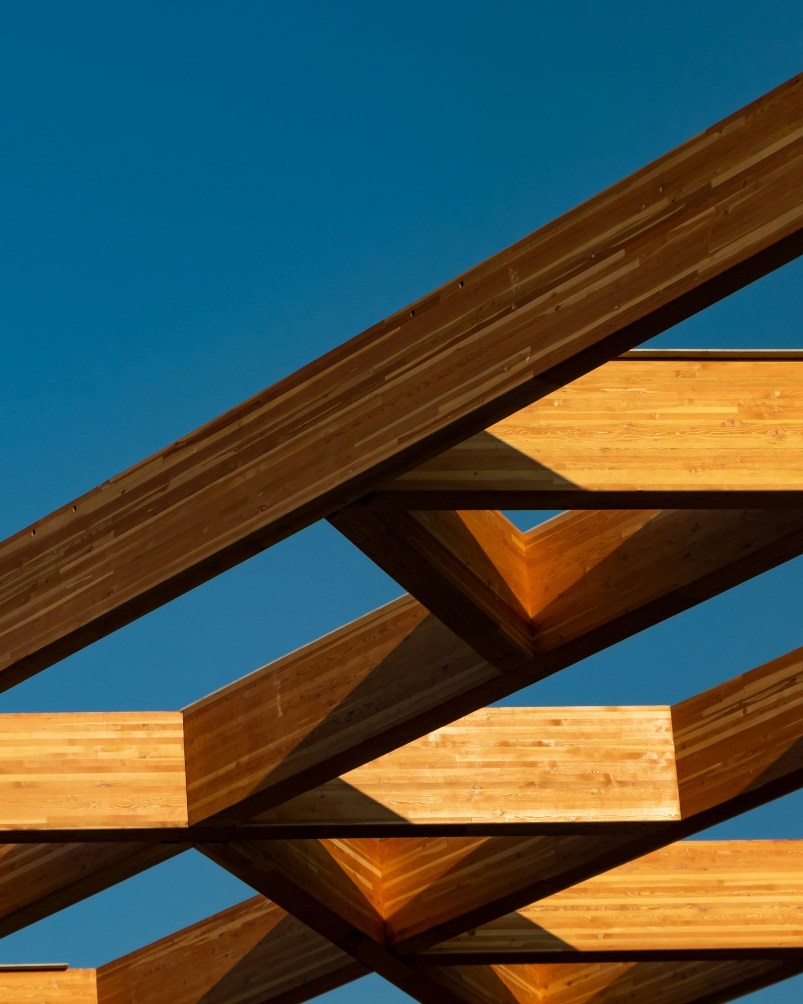 Large timber beams against a blue sky